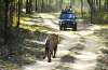 Kanha National Park